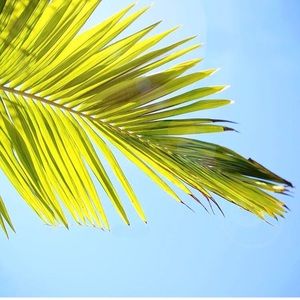 Meet your Posher, Leah